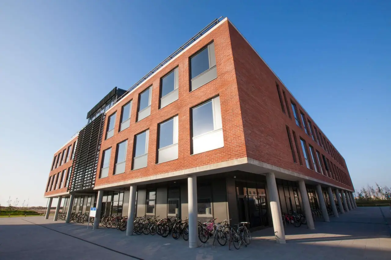 School of Management, Swansea University